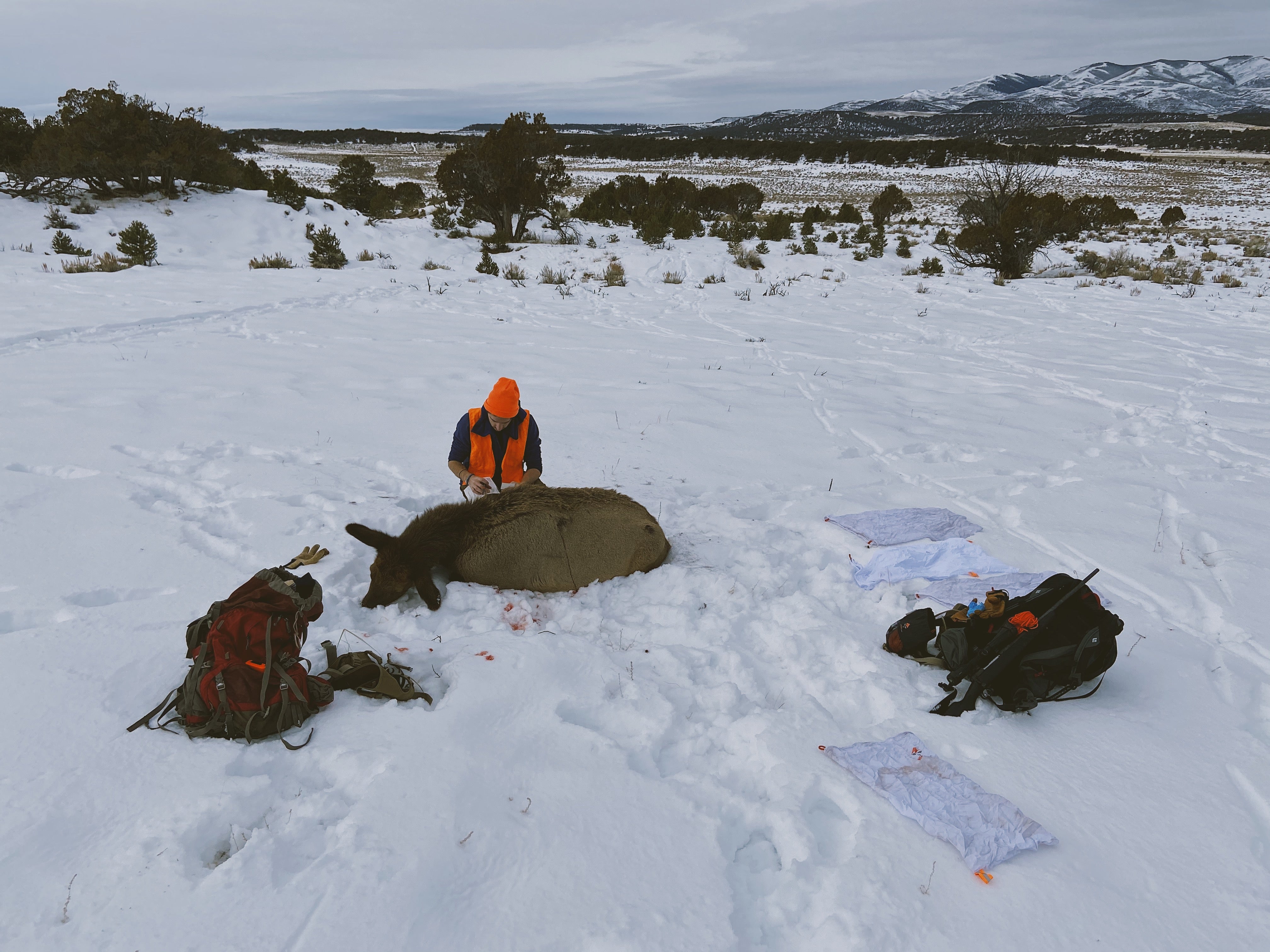 How the Sausage Gets Made: What Goes Into a Successful Elk Hunt (Plus an Elk Sausage Recipe) - Elk Hunt 