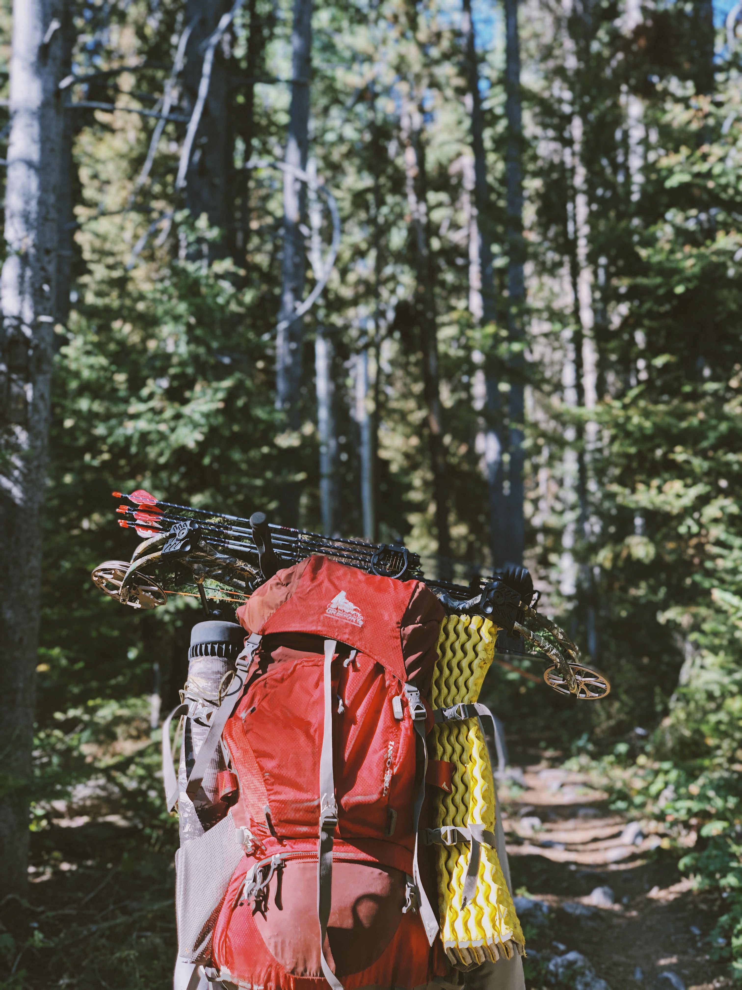 Paxton Elk Hunt Pack