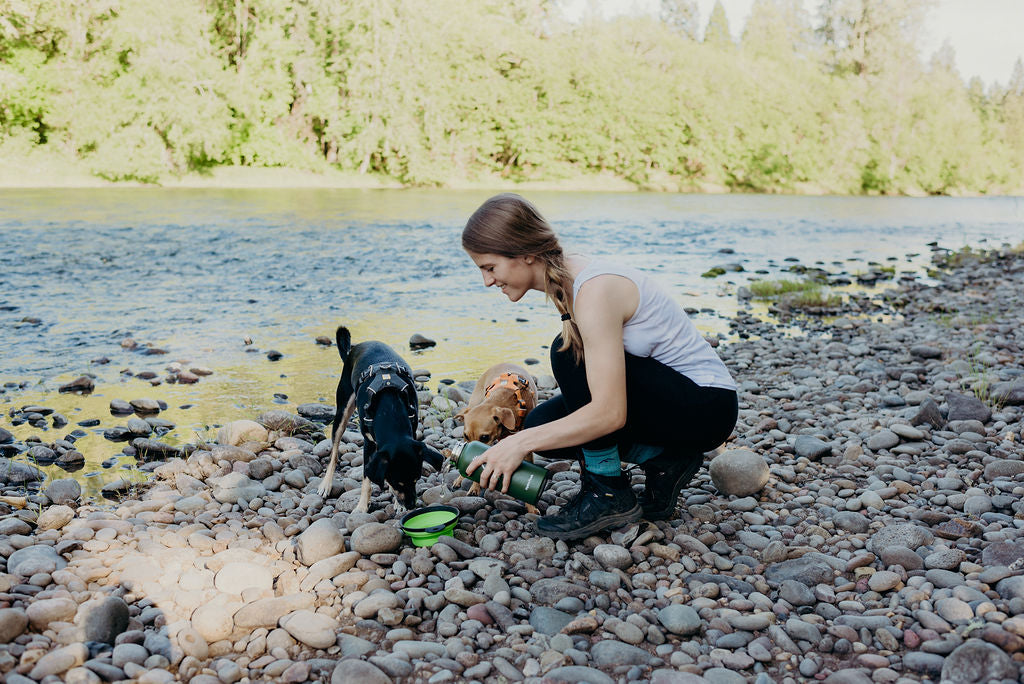 how much water should i bring my dog hiking