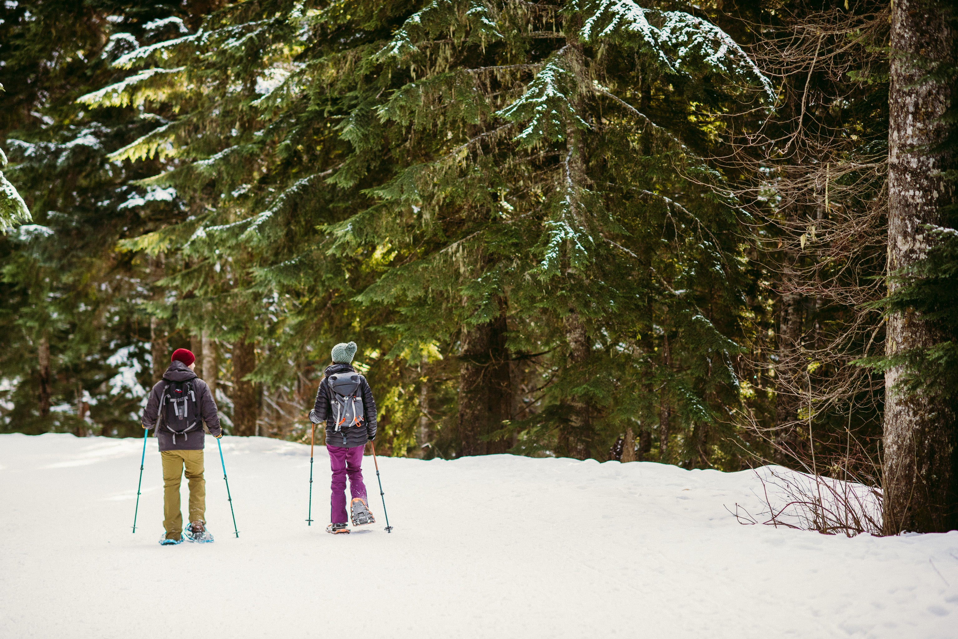 two people walking through snow with snowshoes