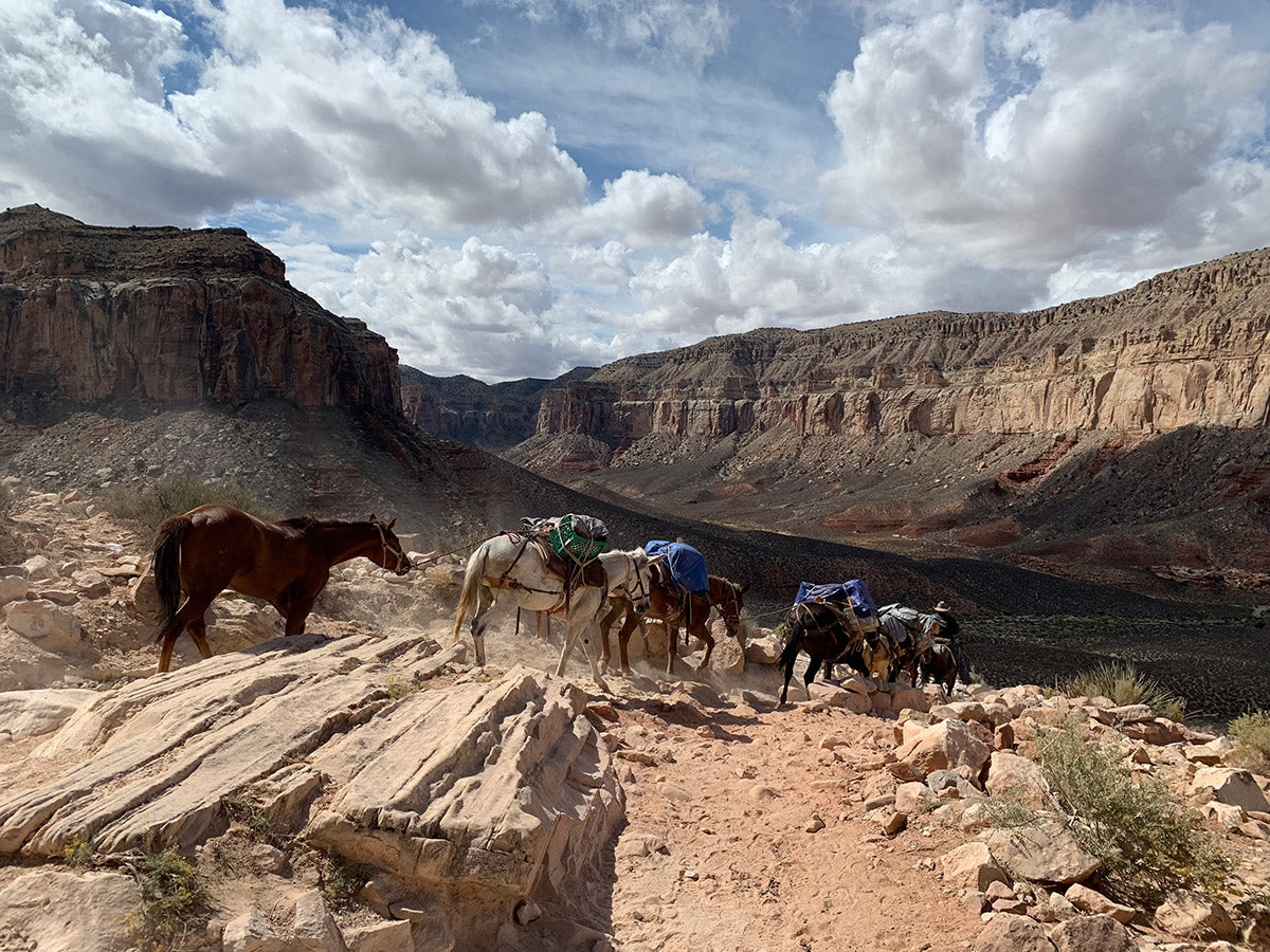 approaching havasupai from the rim of the grand canyon