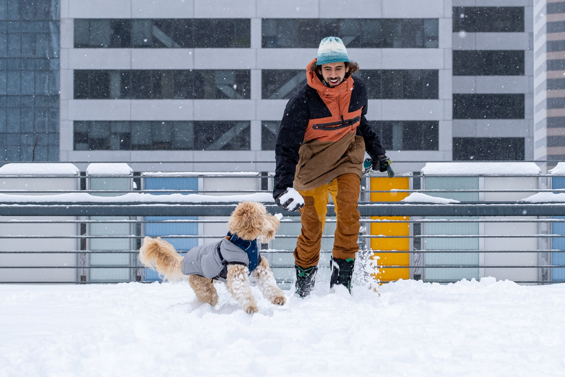 What Gear to Bring on Winter Adventures With Your Dog - Dog playing in snow