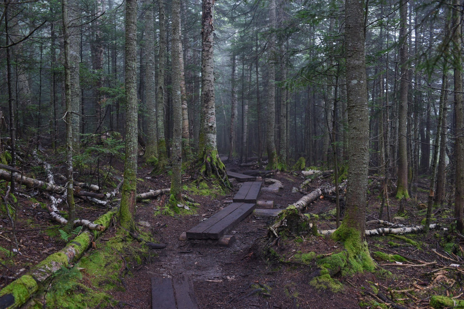 Hiking trail