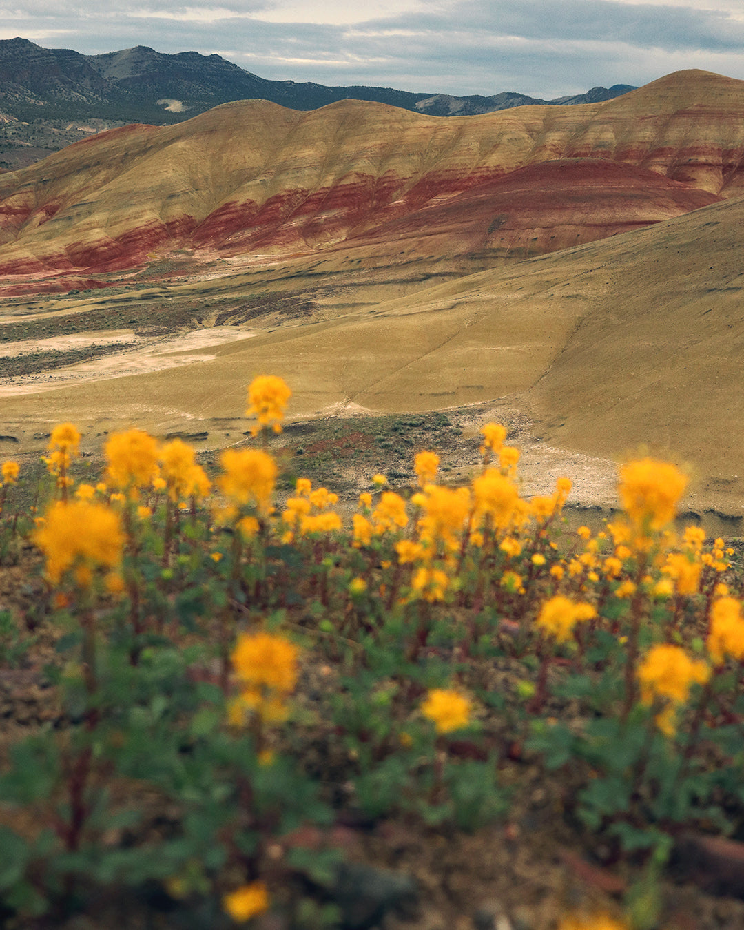 Painted Hills