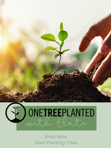 elate cosmetics and one tree planted charity plants a tree for every purchase made on our vegan cruelty free and sustainable makeup beauty products