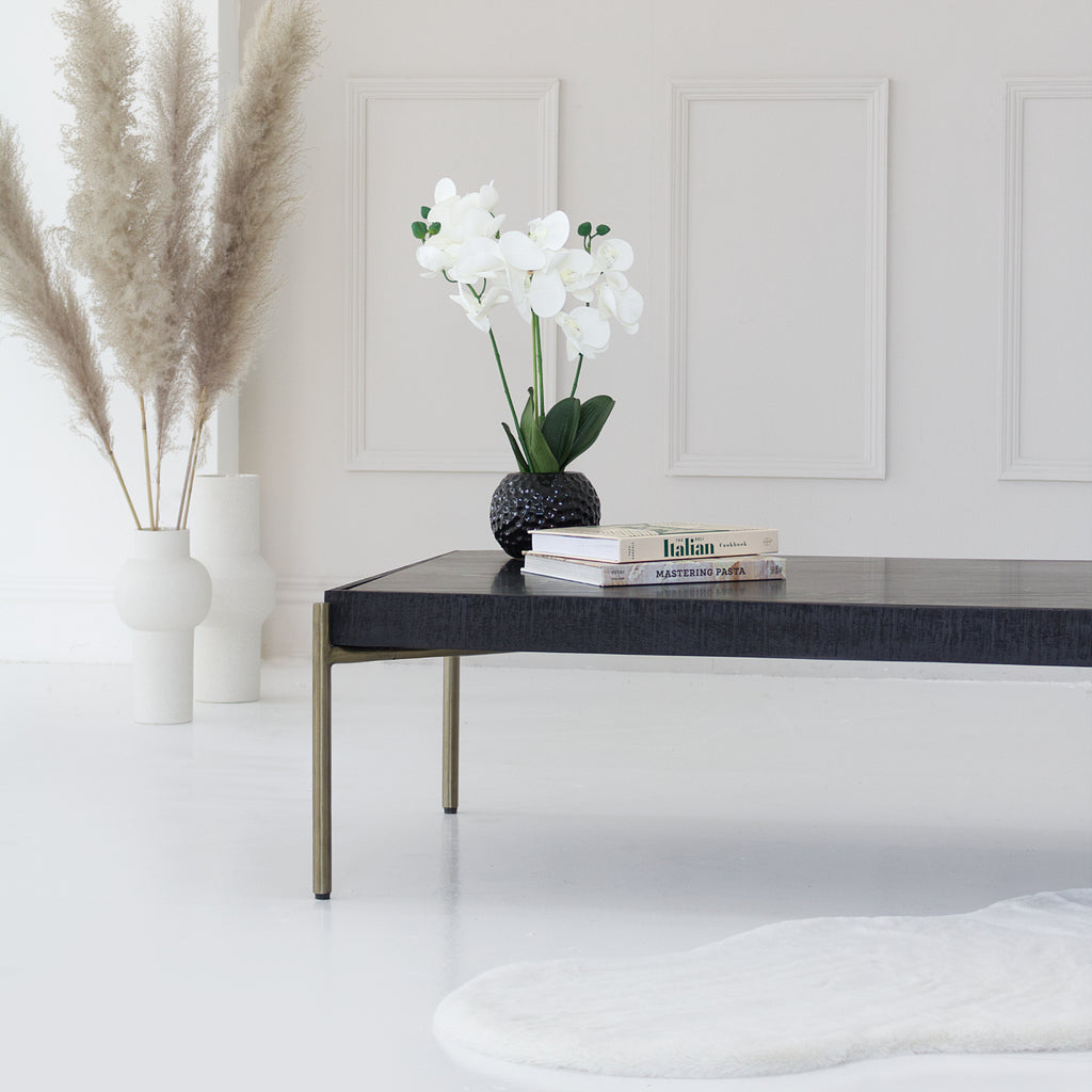 Black and Brass Coffee Table