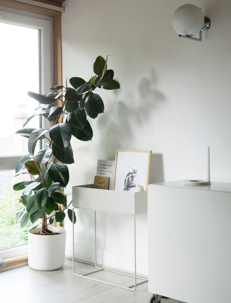 Living room with plants