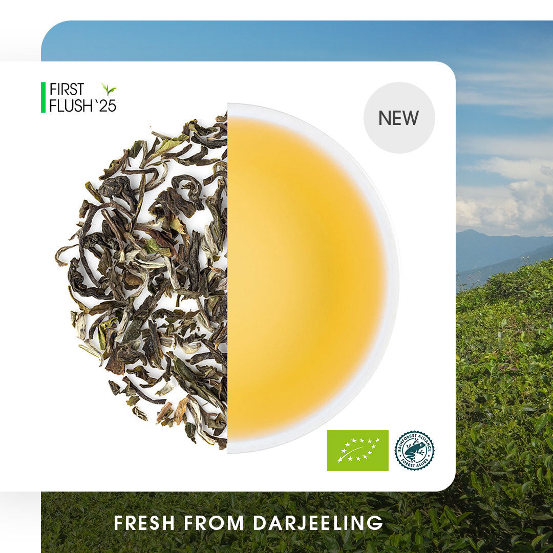 Image of Darjeeling Okayti Spring Clonal Black