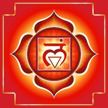 Armor - Root Chakra Blog