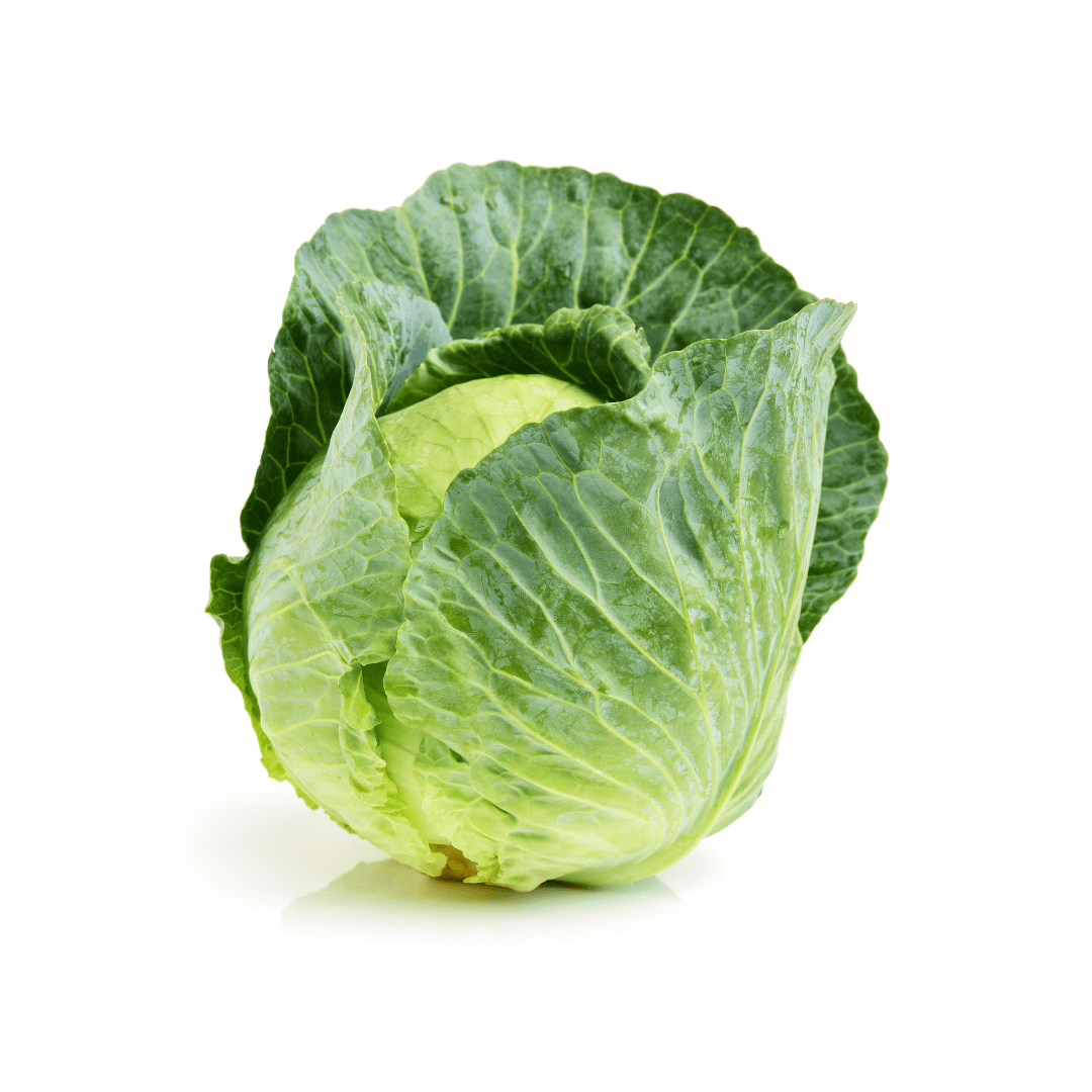 Organic Green Cabbage