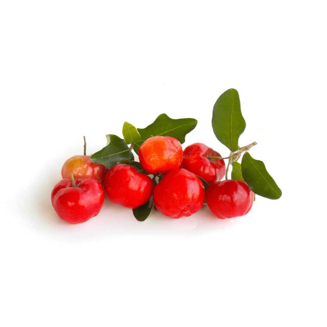 Acerola