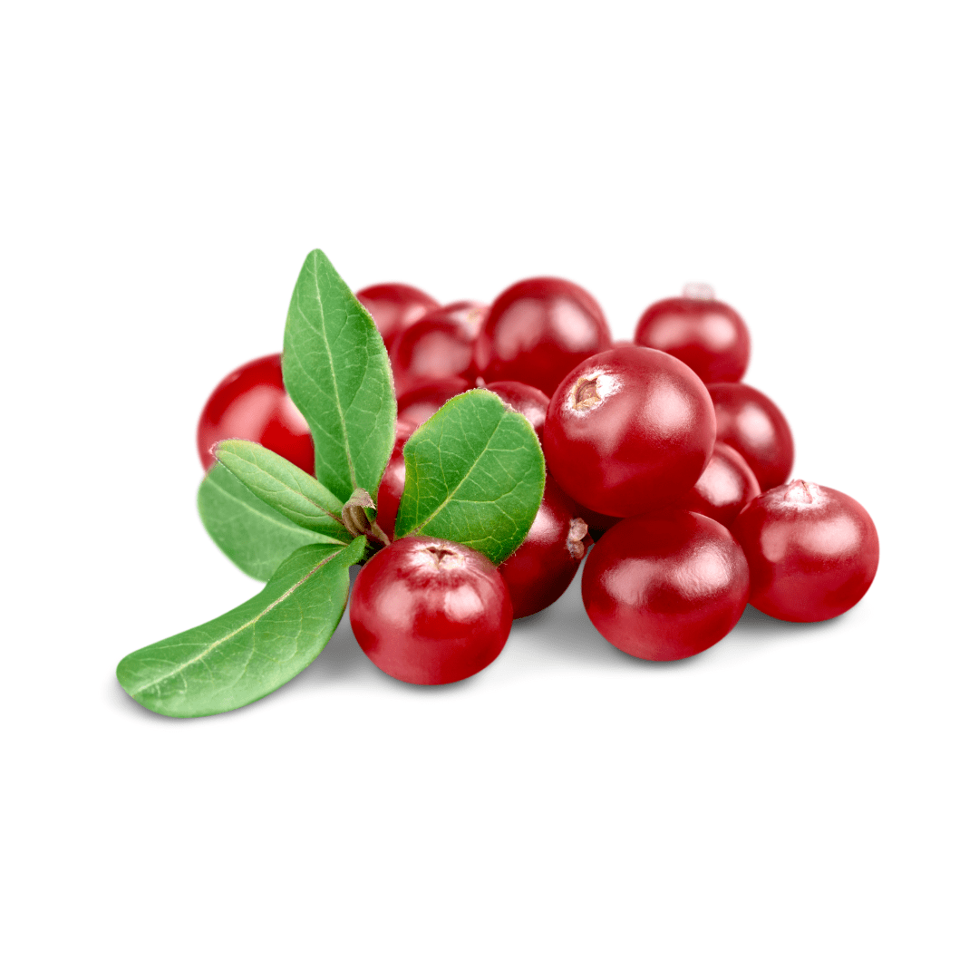 Cranberry