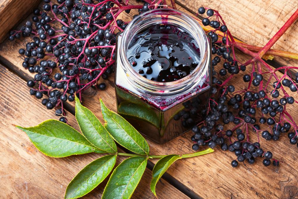 Elderberry boosts your immune system