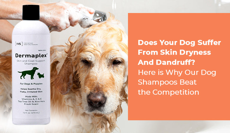 dog shampoo for dry skin
