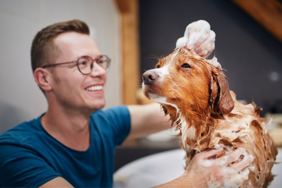 Dog Shampoo for Dry and Flaky Skin