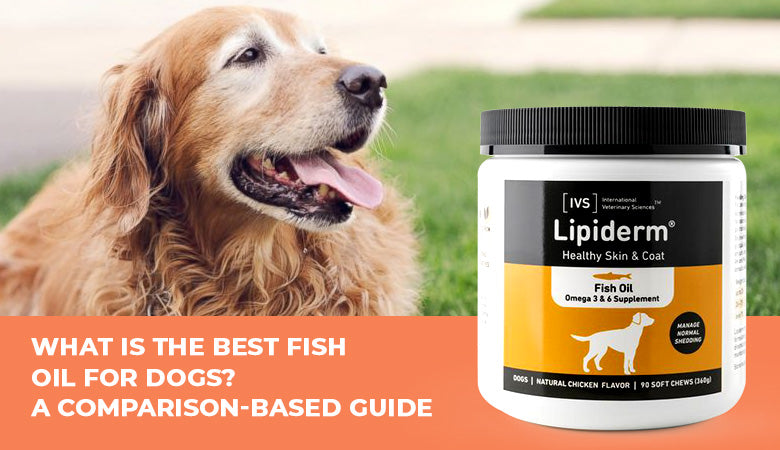 best fish oil for dogs