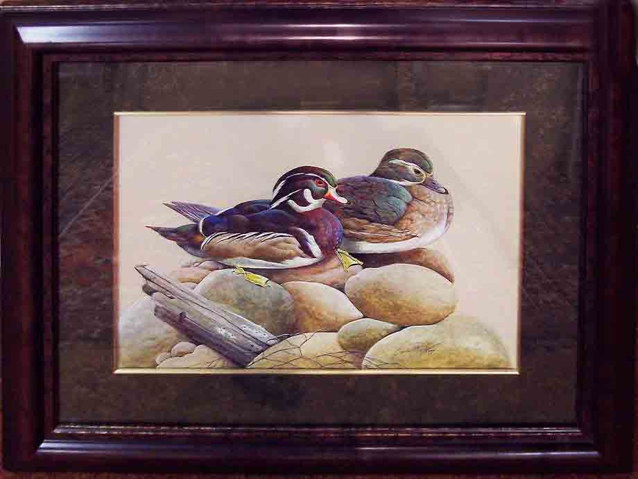 Wood Ducks – Annapolis Marine Art Gallery