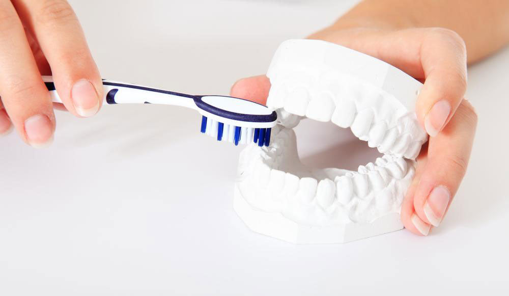 Use the correct brushing technique to ensure your teeth and gums stay healthy.