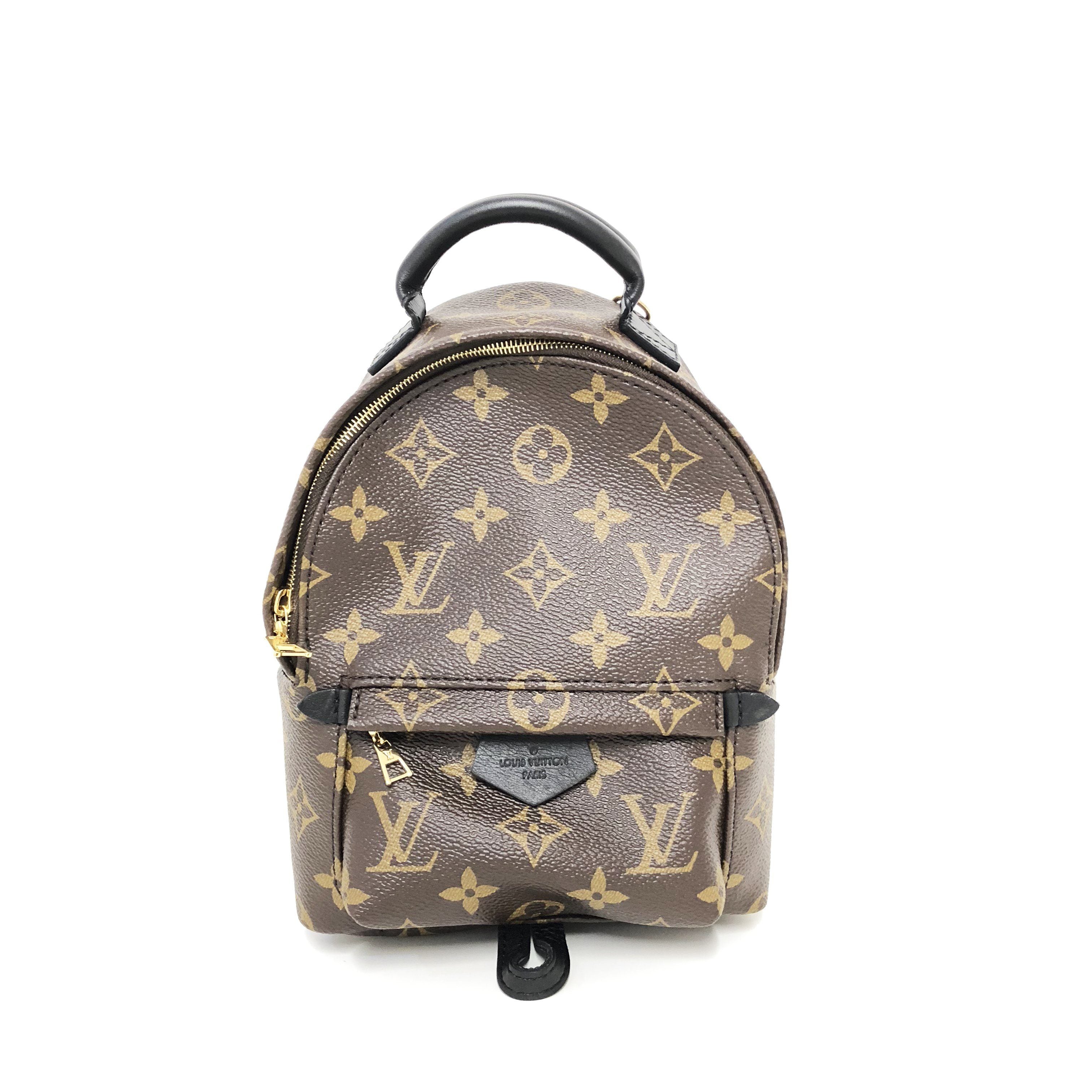 Louis Vuitton Palm Springs Backpack Mini – Garderobe
