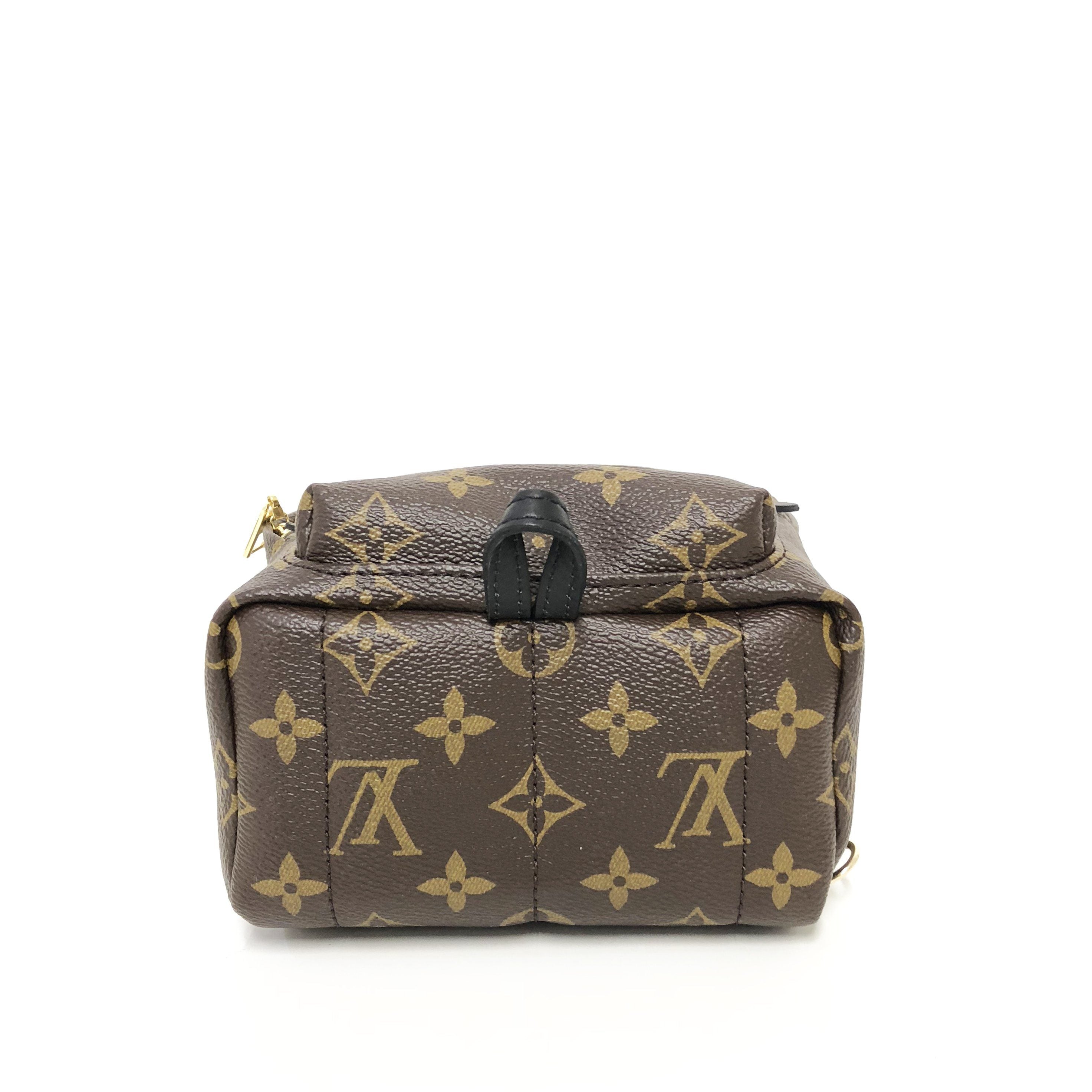 Louis Vuitton Palm Springs Backpack Mini – Garderobe