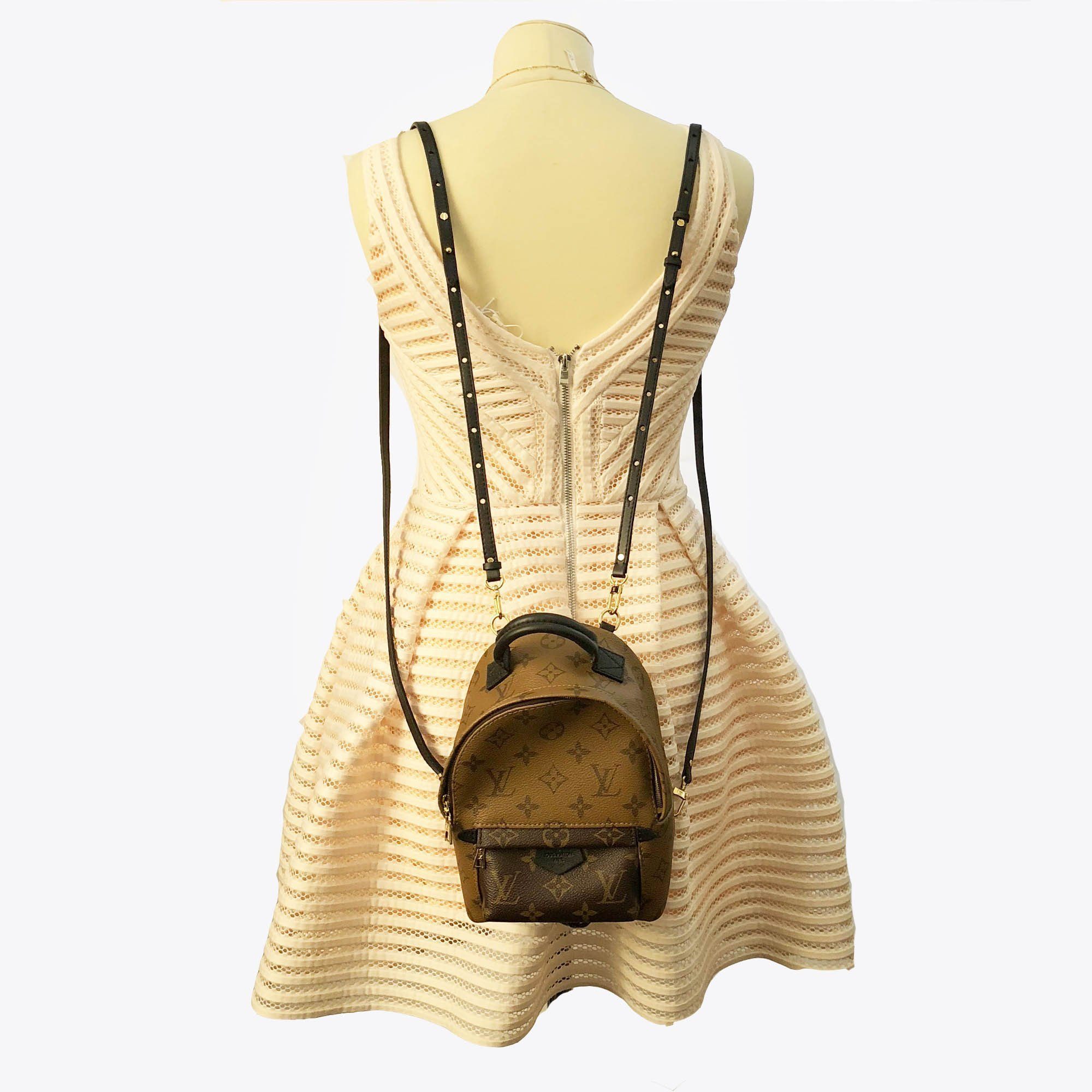 Louis Vuitton Monogram Reverse Canvas Palm Springs Backpack Mini – Garderobe