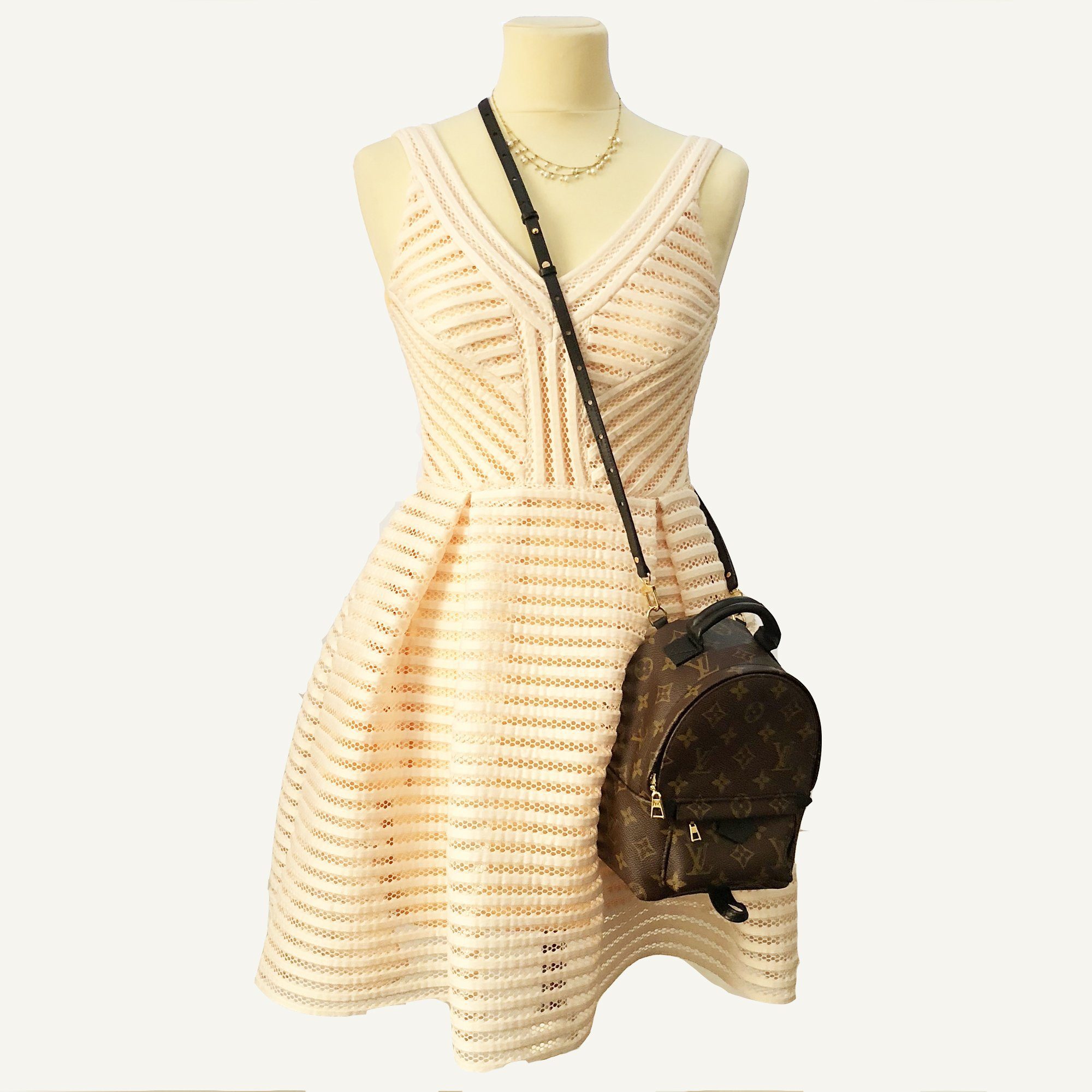 Louis Vuitton Palm Springs Backpack Mini – Garderobe