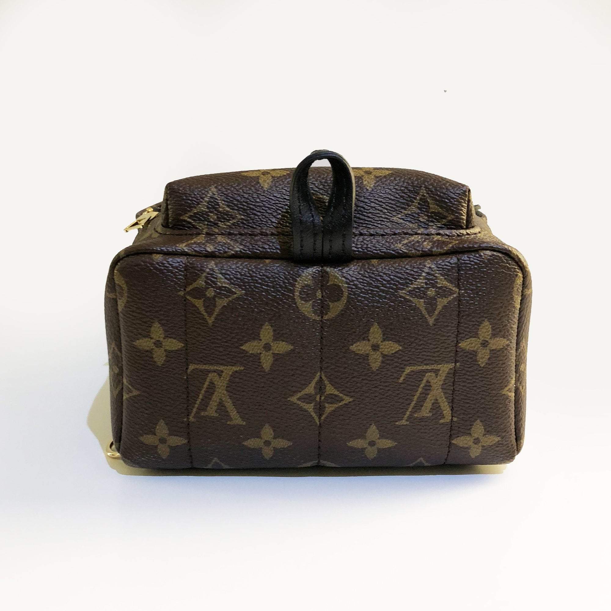 Louis Vuitton Palm Springs Backpack Mini – Garderobe