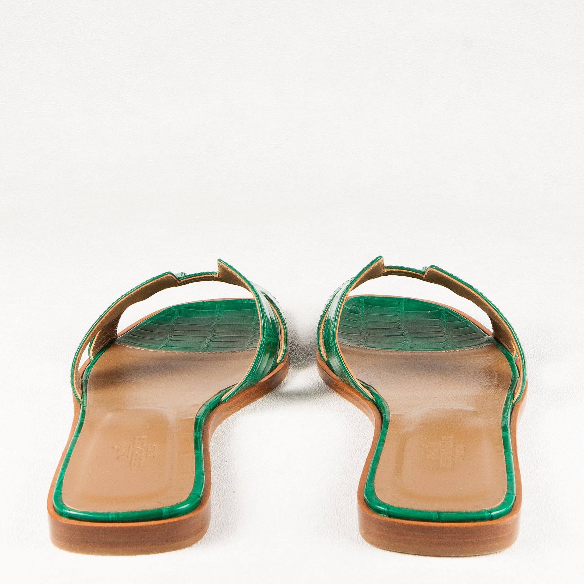 green croc sandals
