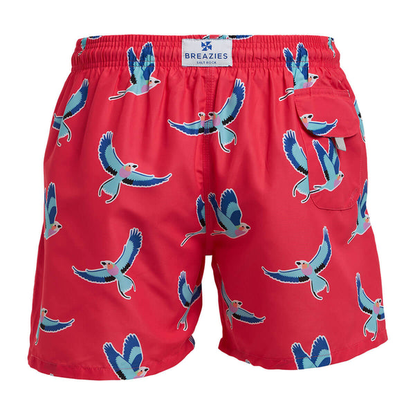 Swim Shorts - Lilac Breasted Roller | Coral