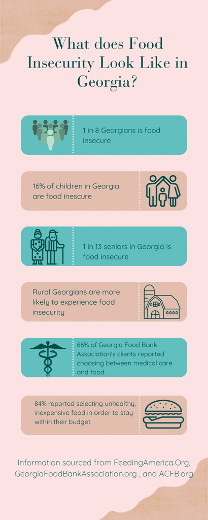 Hunger in GA stats 