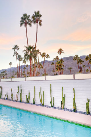 Palm Springs, CA