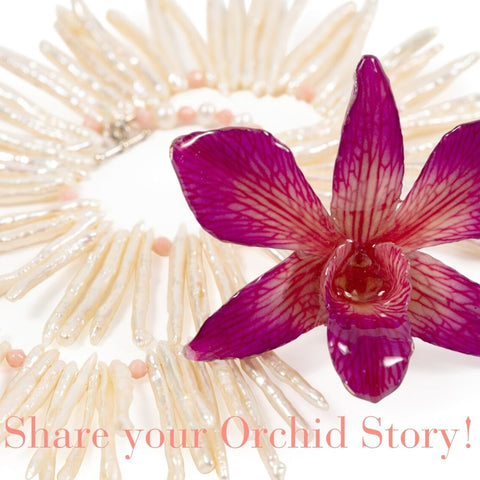 orchid story