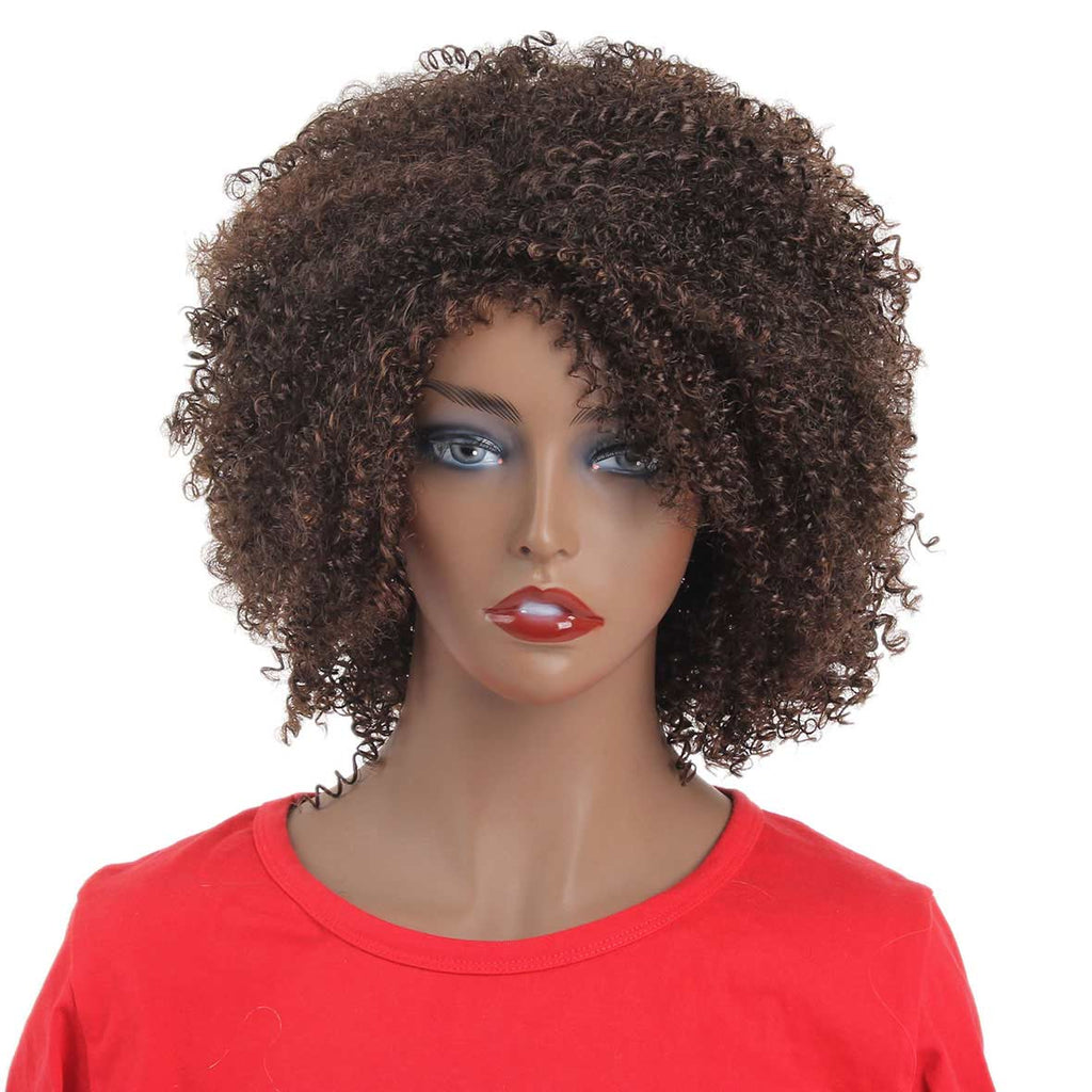 Short Messy Afro Kinky Curly Wig For Black Women Realistic Synthetic S Xtrend Hair 