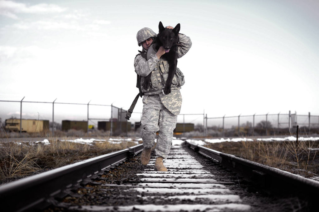 soldier-bringing-dog