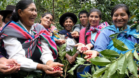 Fairtrade Coffee Cooperative with women coffee farmers in a group