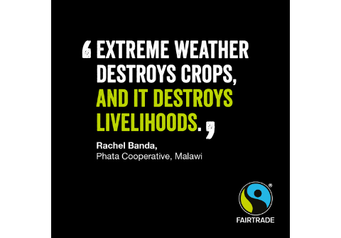 Quote from farmer for Fairtrade Fortnight 2022