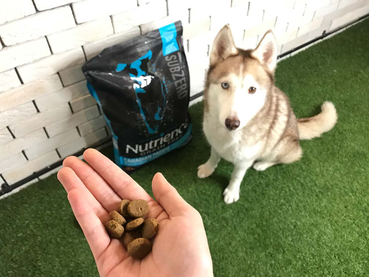 nutrience_dog_food_review_3
