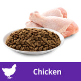 IAMS Kitten Chicken Cat Dry Food (3 Sizes)