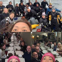 Farne Island Seal Diving 2019 with Dive Manchester