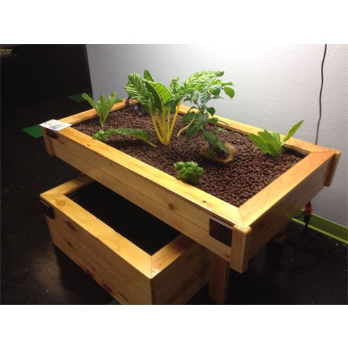 where can aquaponics kits for sale - aquaponic