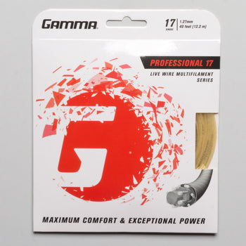 Gamma Professional 17 (Item #010682)