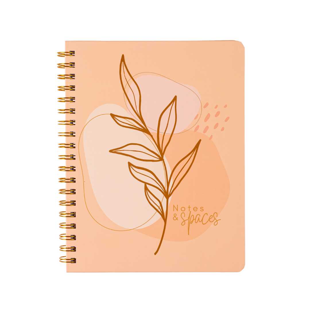 Notes and Spaces - Perfectly Peach