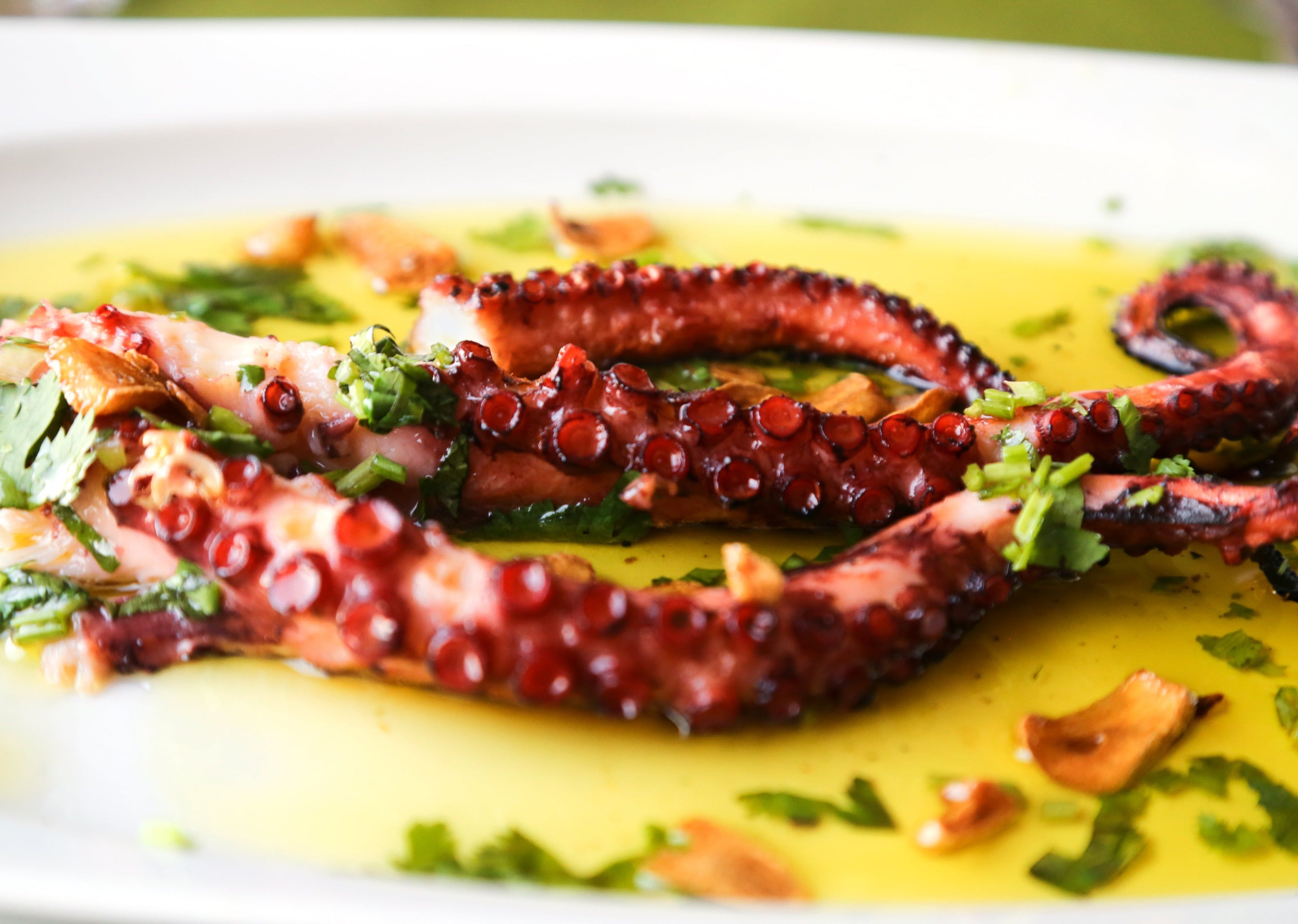 Octopus - New York Steak  Seafood Co product image