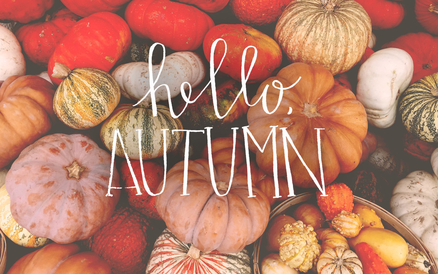 Bravelets Blog: HELLO, AUTUMN