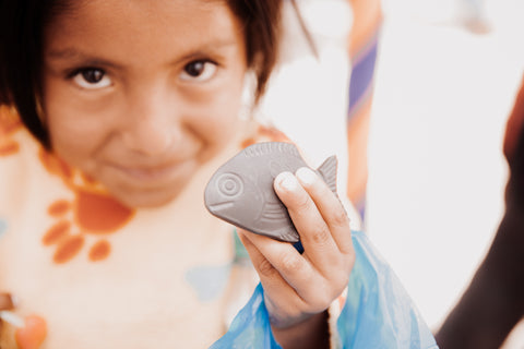 Lucky Iron Fish- Social Impact Peru