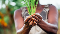 Woman farming