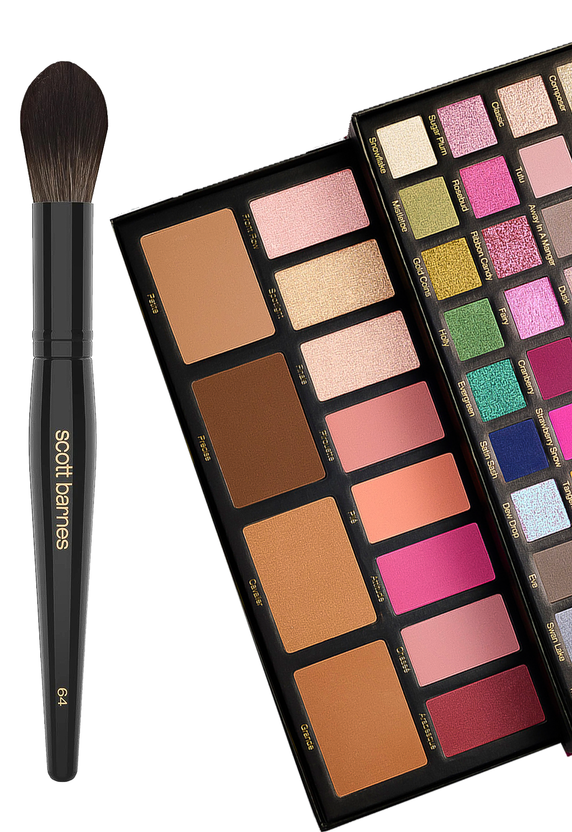 Scott Barnes Sweep Brush #64 Next To EyeShadow Palette