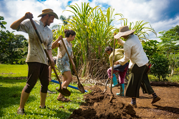 Digging the garden Kauai Farmacy