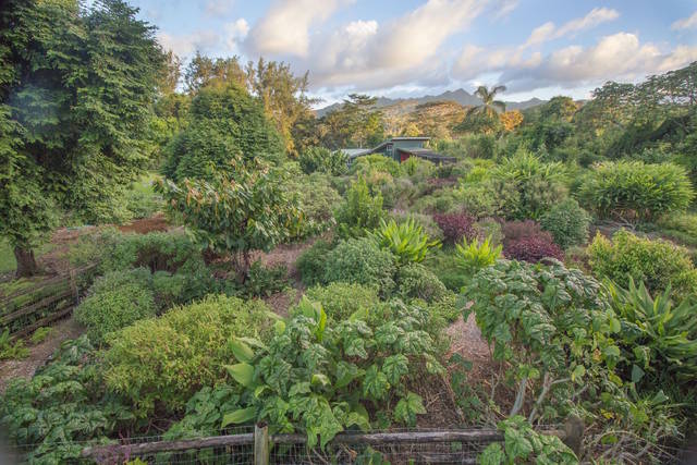 Kauai farmacy gardens