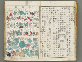 Hakubutsuzu kyojyuho by Matsukawa Hanzan / BJ310-625
